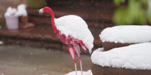 Colorado wordt geteisterd door een sneeuwstorm in het late voorjaar, waardoor scholen worden gesloten en forensen worden verstoord