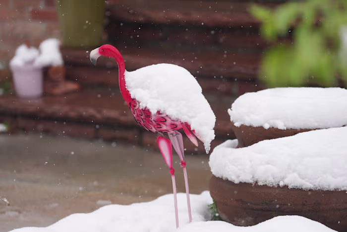 Colorado wordt geteisterd door een sneeuwstorm in het late voorjaar, waardoor scholen worden gesloten en forensen worden verstoord