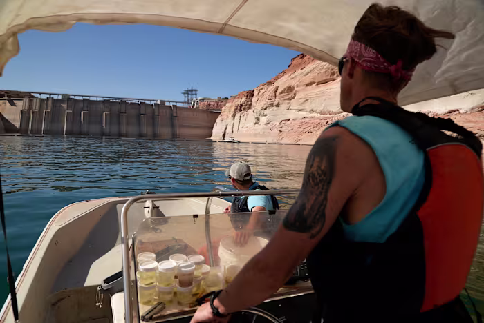 Het vrijgeven van koel water beschermt de vissen in de Grand Canyon. Dat gaat ten koste van de waterkracht