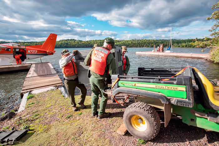 Onderzoekers zeggen dat de wolven op het afgelegen eiland Lake Superior goed gedijen terwijl roedels op elanden jagen