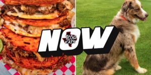 Texas eet NU: best beoordeelde Quesabirria-taco’s en puppy’s op de green voor het goede doel