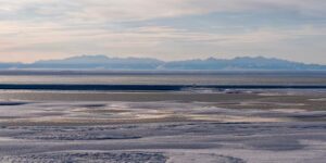Beperkte interesse in de laatste olie- en gasleaseverkoop voor het Arctic National Wildlife Refuge in Alaska