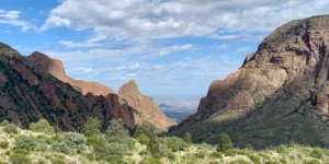 De regering-Trump zal de milieuwetten omzeilen voor grensprojecten in Big Bend National Park