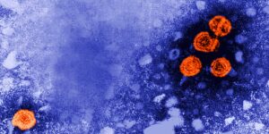 Experimenteel hepatitis B-medicijn kan voor sommige patiënten een ‘functionele genezing’ bieden