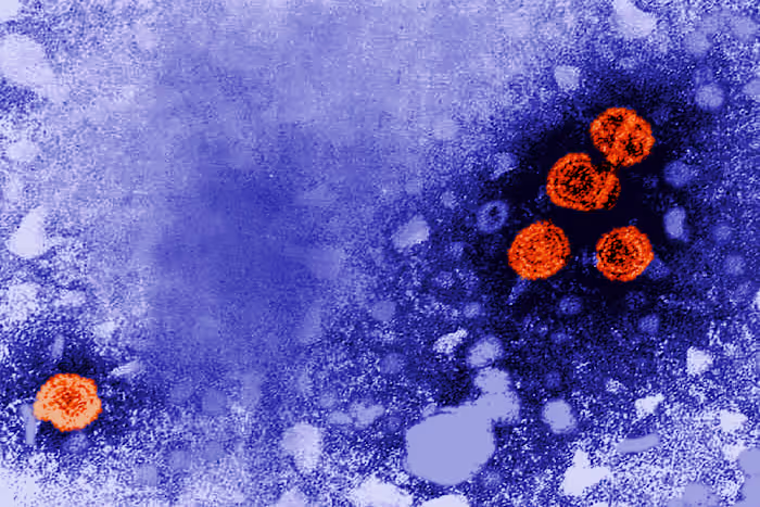 Experimenteel hepatitis B-medicijn kan voor sommige patiënten een 'functionele genezing' bieden