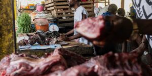 Terwijl Ebola Congo teistert, waarschuwen deskundigen voor een verband met het eten van wilde dieren