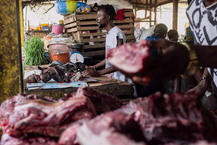 Terwijl Ebola Congo teistert, waarschuwen deskundigen voor een verband met het eten van wilde dieren