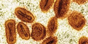Twee wetenschappers worden ervan beschuldigd het gedeactiveerde mpox-virus naar de VS te hebben gebracht en te hebben gelogen tegen de autoriteiten