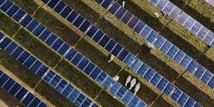 Zonne-energie bereikt nieuwe mijlpalen in de VS, zelfs nu Trump steenkool boven schone energie stimuleert