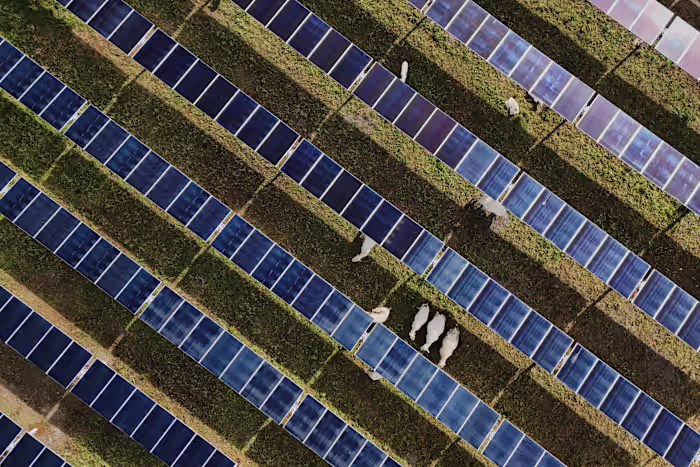 Zonne-energie bereikt nieuwe mijlpalen in de VS, zelfs nu Trump steenkool boven schone energie stimuleert