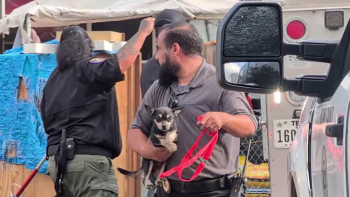 18 achtergelaten honden in beslag genomen op een landgoed in de SW Bexar County, ooit beschreven als 'puppymolen'