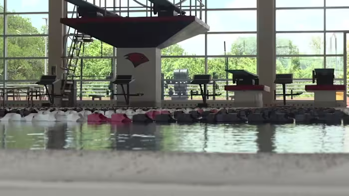 Artistieke zwemmers van UIW schitteren op het internationale podium