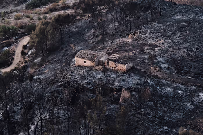 Honderden brandweerlieden bestrijden natuurbranden in Zuid-Spanje waarbij minstens twaalf mensen omkwamen