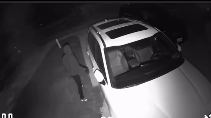 Auto-inbraken teisteren de wijk Northwest Side; Gegevens tonen bijna 1.000 overtredingen in de hele stad
