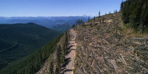 British Columbia registreert zijn laatste oude groei. Demonstranten slapen op de weg om dit tegen te houden