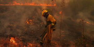 Door de mens veroorzaakte klimaatverandering heeft Spaanse en Franse branden veel waarschijnlijker gemaakt, berekenen wetenschappers