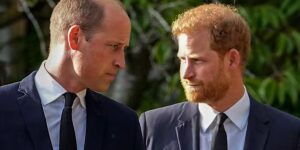 Er rijst een vraag over Harry’s terugkeer naar Groot-Brittannië. Kan hij zijn relatie met prins William weer opbouwen?