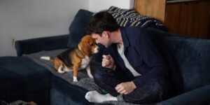 Gene-bewerkte beagles kunnen een toekomstige optie bieden voor mensen met hondenallergieën