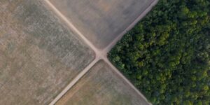 Het Braziliaanse Hooggerechtshof handhaaft wetten die hebben geleid tot de ondergang van het sojamoratorium in het Amazonegebied