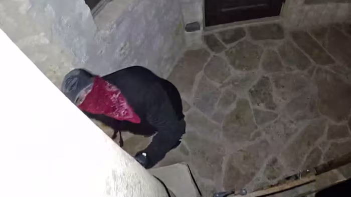 Huiseigenaren willen inbrekers pakken die miljoenen hebben gestolen in de wijk Stone Oak