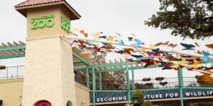 Inwoners van Bexar County kunnen op woensdag 22 juli voor $ 8 de dierentuin van San Antonio bezoeken