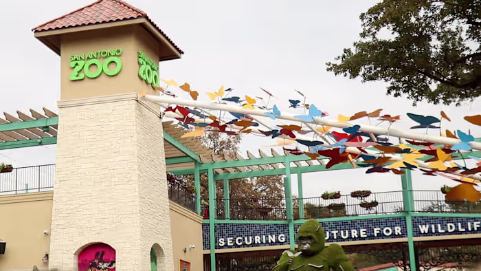Inwoners van Bexar County kunnen op woensdag 22 juli voor $ 8 de dierentuin van San Antonio bezoeken