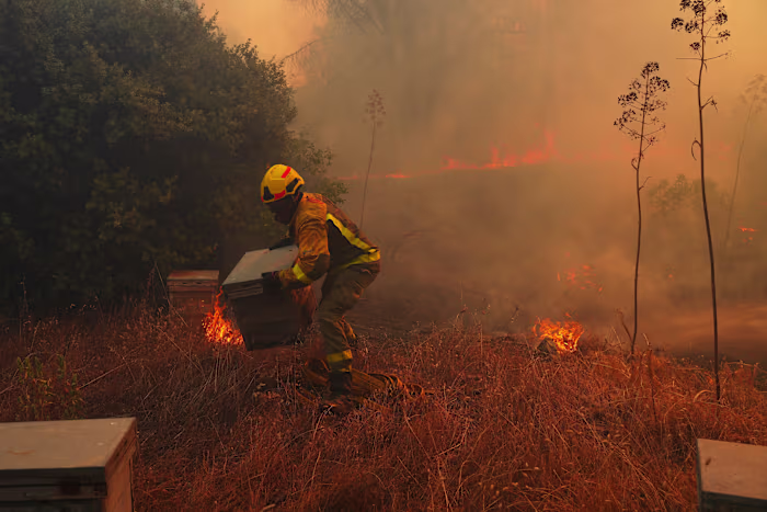 VN, wetenschappers waarschuwen dat sterke El Nino brandstof zal toevoegen aan 'een planeet die al in brand staat'