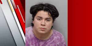 BCSO: Man botst tegen K-9-eenheid, gearresteerd op beschuldiging van DWI