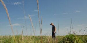 Boeren wenden zich tot meerjarige granen als oplossing voor extreem weer