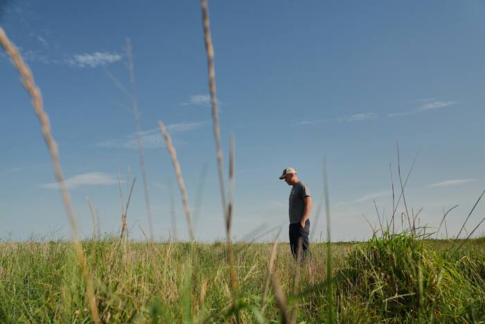 Boeren wenden zich tot meerjarige granen als oplossing voor extreem weer