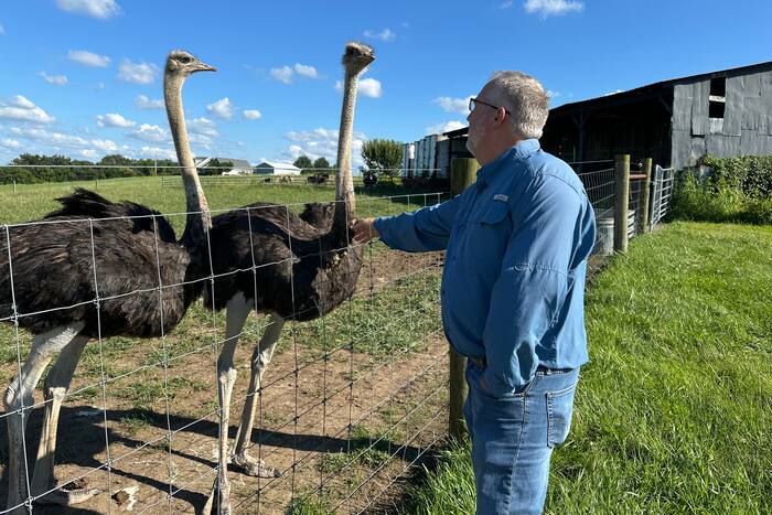 Een man uit Kentucky met een vleesallergie had zin in een burger. Zo kwam hij terecht in de struisvogelhouderij