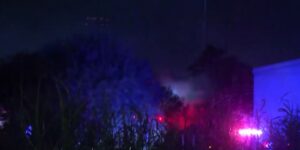 Grasbranden in Castle Hills zouden brandstichting zijn, zegt brandweercommandant