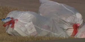 Huiseigenaren in Far South Side zeggen dat illegale dumpingen en geweervuur ​​door de stad over het hoofd worden gezien
