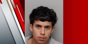Man gearresteerd nadat hij naar verluidt had gedreigd ICE-agenten aan North Side neer te schieten, aldus de beëdigde verklaring