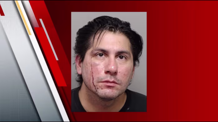 Man gearresteerd nadat twee honden dood werden aangetroffen in een voertuig in het noordoosten van Bexar County, zegt BCSO