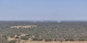 Meerdere brandweerlieden, Texas A&M Forest Service, bestrijden grasbrand van 350 hectare in Atascosa County