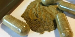 Sterfgevallen onder studenten aan de Universiteit van Mississippi werpen kratom in de schijnwerpers