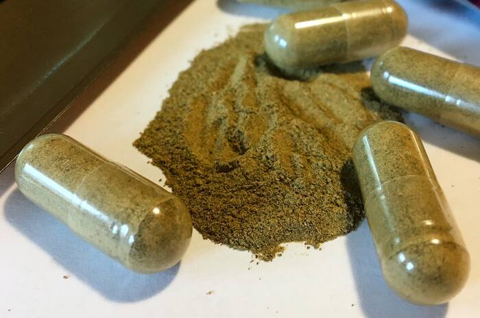 Sterfgevallen onder studenten aan de Universiteit van Mississippi werpen kratom in de schijnwerpers
