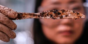 Traditionele plastic vorken scheiden schadelijke microplastics af. Plastic gemaakt van suiker is een alternatief