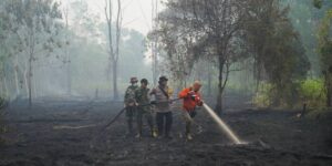 De door El Nino veroorzaakte hitte van dit jaar zou bijna een half miljoen extra doden kunnen veroorzaken, zegt de groep