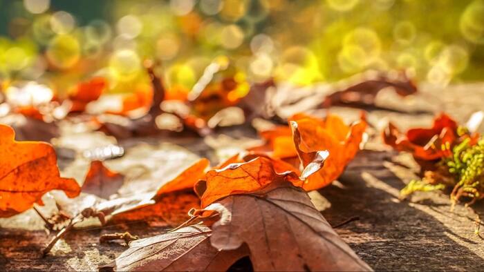 De herfst in San Antonio is sinds 1970 bijna 4 graden warmer geworden