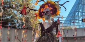 De nieuwste tentoonstelling van de Botanische Tuin van San Antonio viert Día de los Muertos