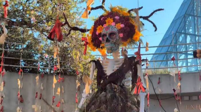 De nieuwste tentoonstelling van de Botanische Tuin van San Antonio viert Día de los Muertos
