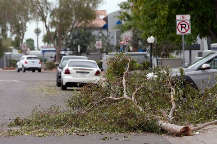 Hagel ter grootte van golfballen teistert delen van Arizona terwijl een zeldzame storm door het Westen raast