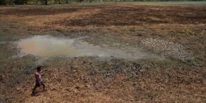 In het door droogte geteisterde Sri Lanka zien boeren hoe putten leeglopen en de waterpoelen kleiner worden