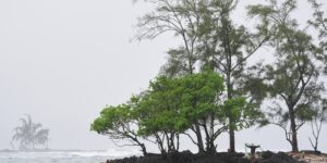 Orkanen in de Stille Oceaan bedreigen Hawaï en Mexico met overstromingen en hoge branding