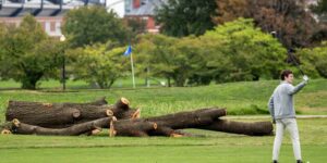 Parkservice zou meer dan 500 bomen kunnen verwijderen op de historische golfbaan die Trump opnieuw wil ontwerpen
