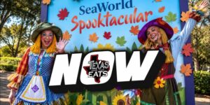 Seaworld Spooktacular en Howl-O-Scream brengen Halloween Frights naar San Antonio